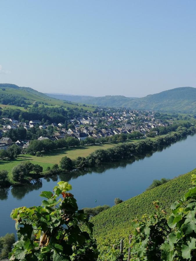 Weingut Licht-Stadtfeld Brauneberg Exterior photo
